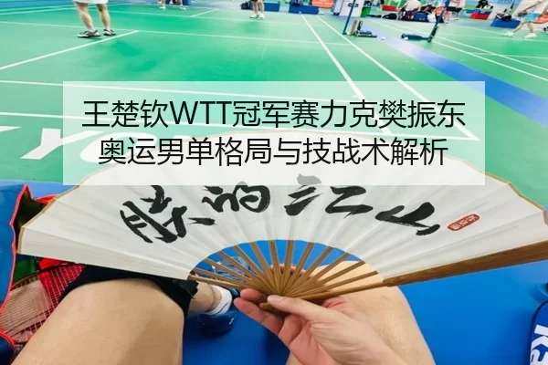 王楚钦WTT冠军赛力克樊振东 奥运男单格局与技战术解析